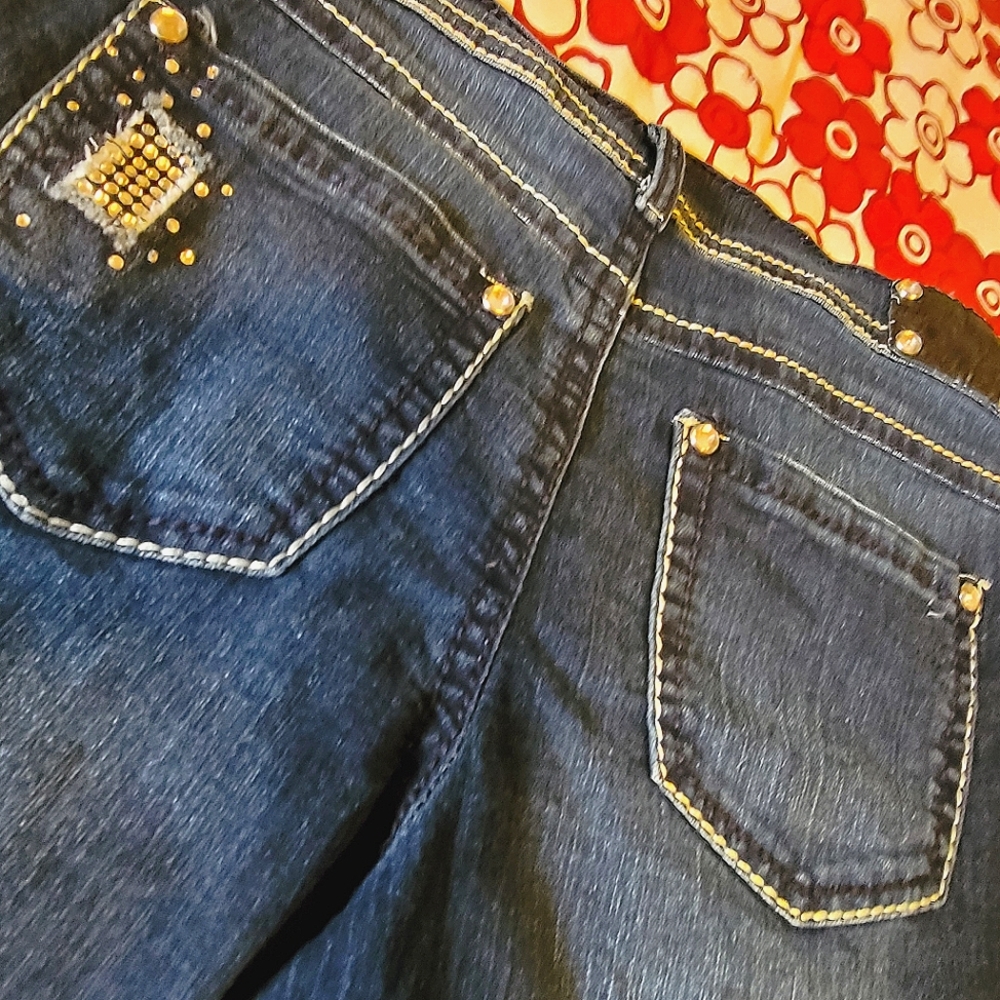 {Style & Co} Dark Wash Jeans☆Distressed☆Embellished☆ Size 10